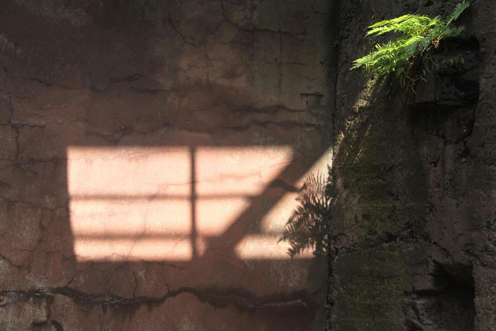 Spiel mit Licht und Schatten in der Henrichtshütte