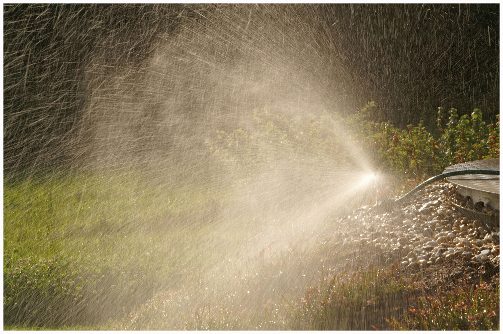 Spiel mit Licht und Wasser