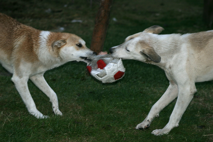 Spiel und Spaß