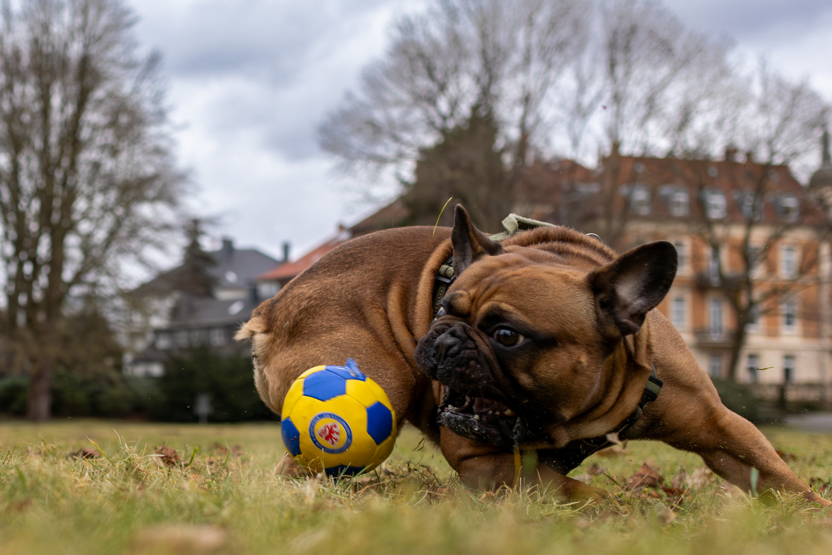 Spiel und Spaß