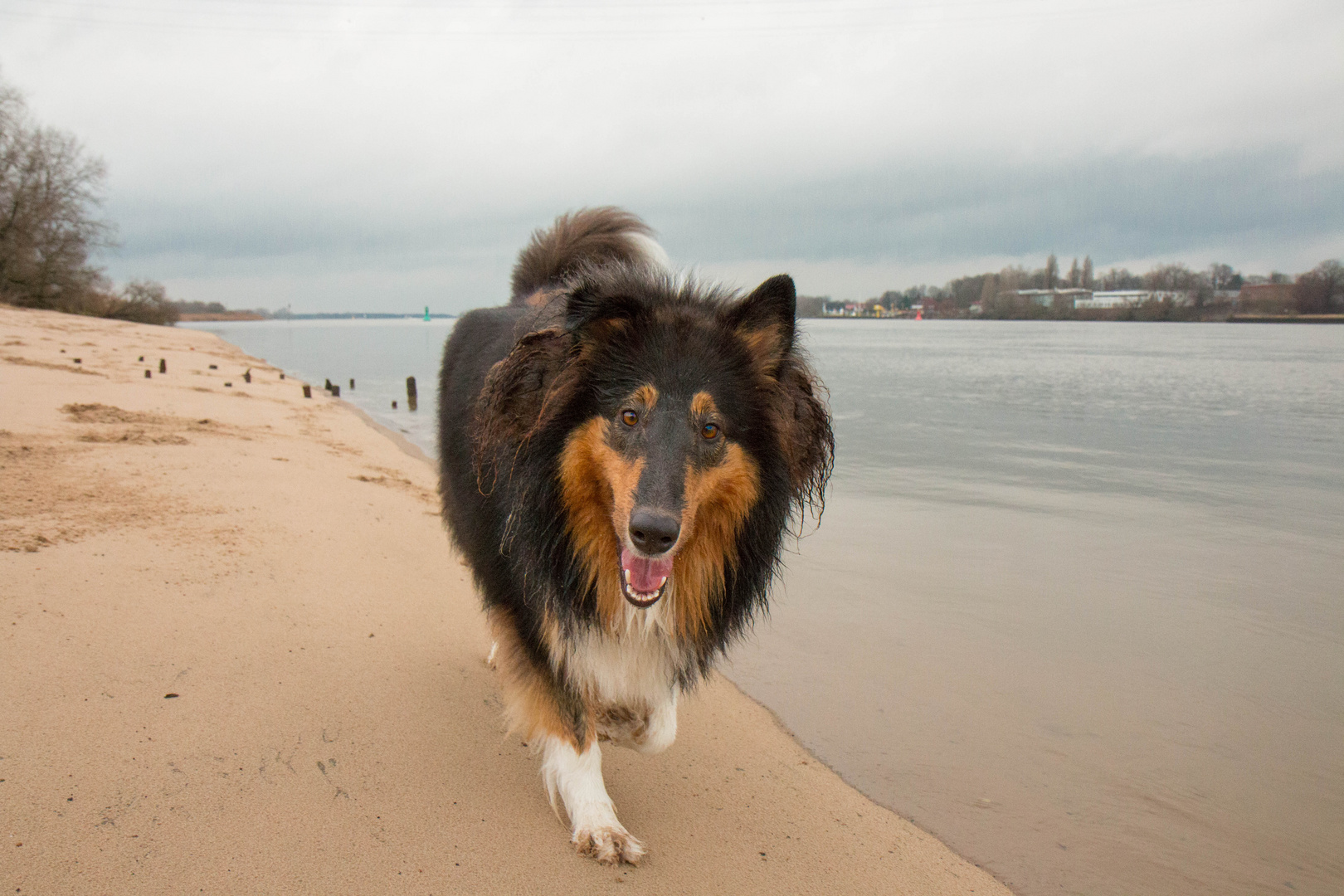 Spiel und Spaß am Strand