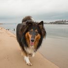 Spiel und Spaß am Strand