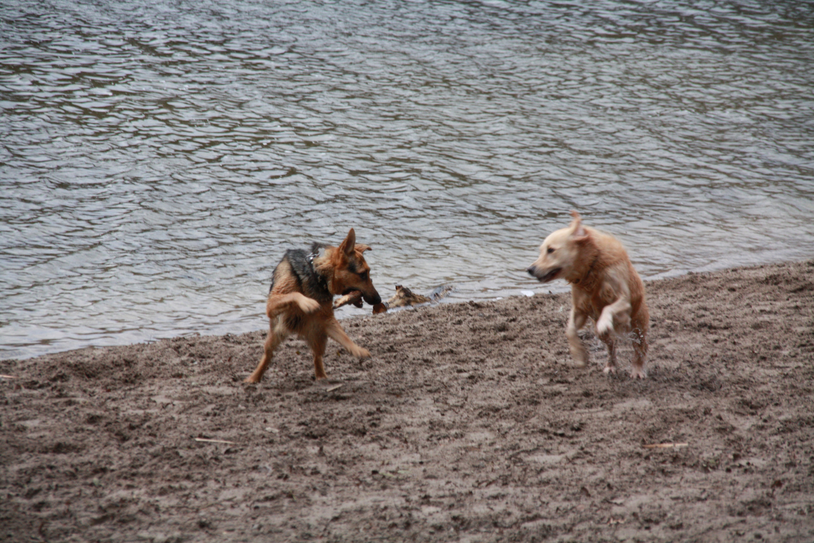 Spiel und Spass im Grunewald