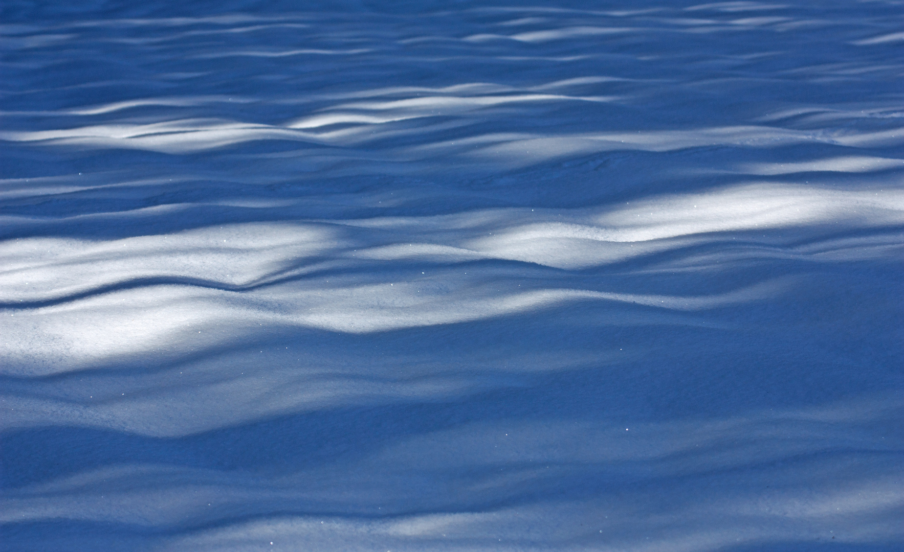 Spiel von Licht und Schatten auf einem Schneefeld am Waldrand