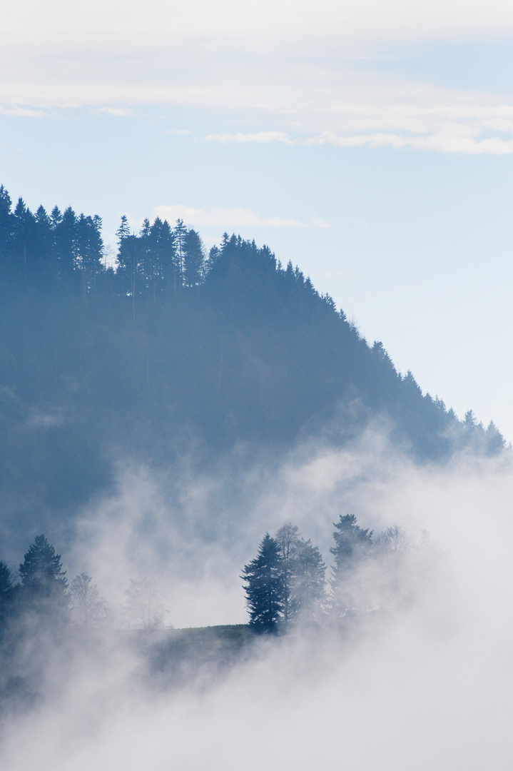 Spiel von Nebel und Sonne