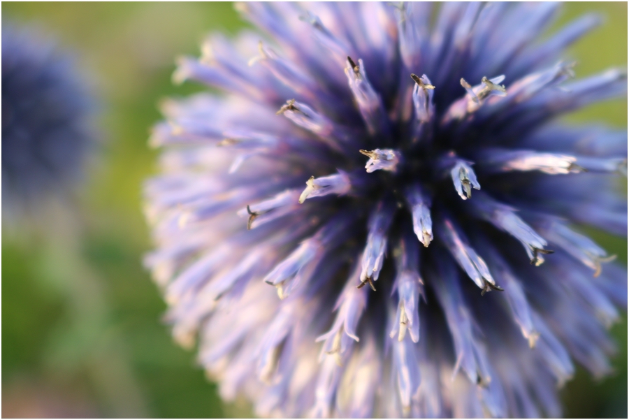 Spielball der Natur