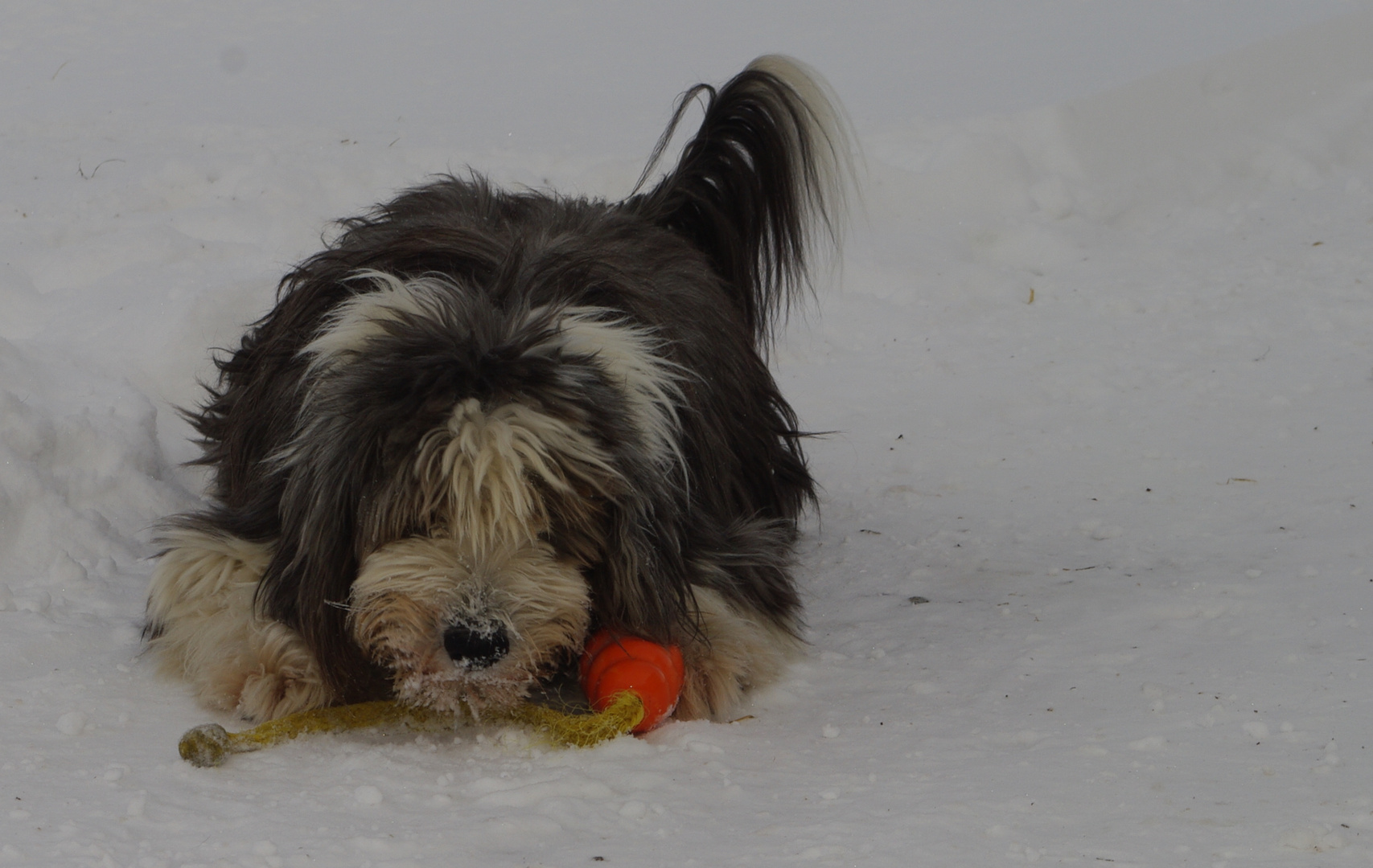 Spielball unter dem Schnee gefunden :-)