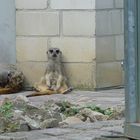 spielchen auch mal in klein