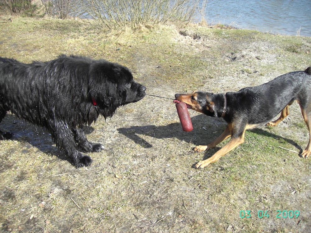 Spiele am See