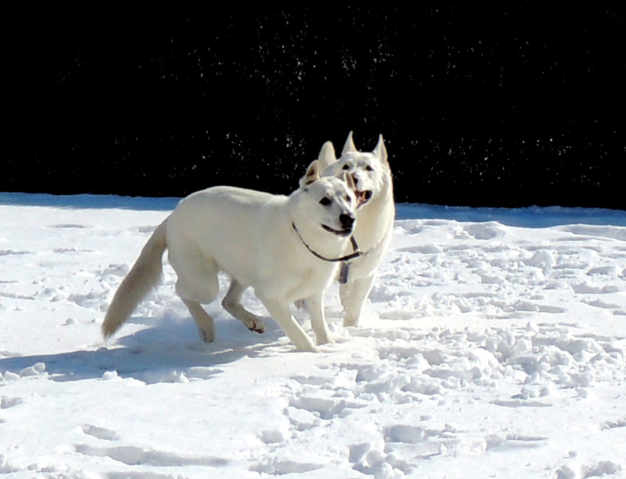 Spiele im Schnee