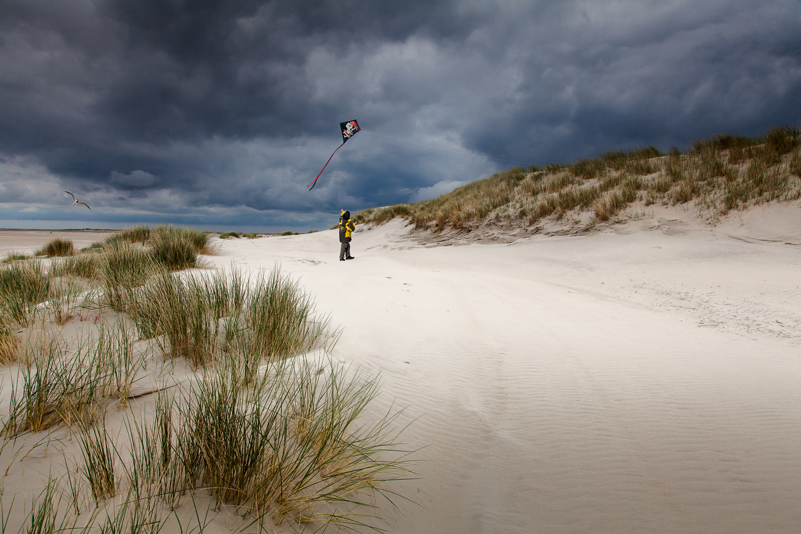 Spiele im Wind