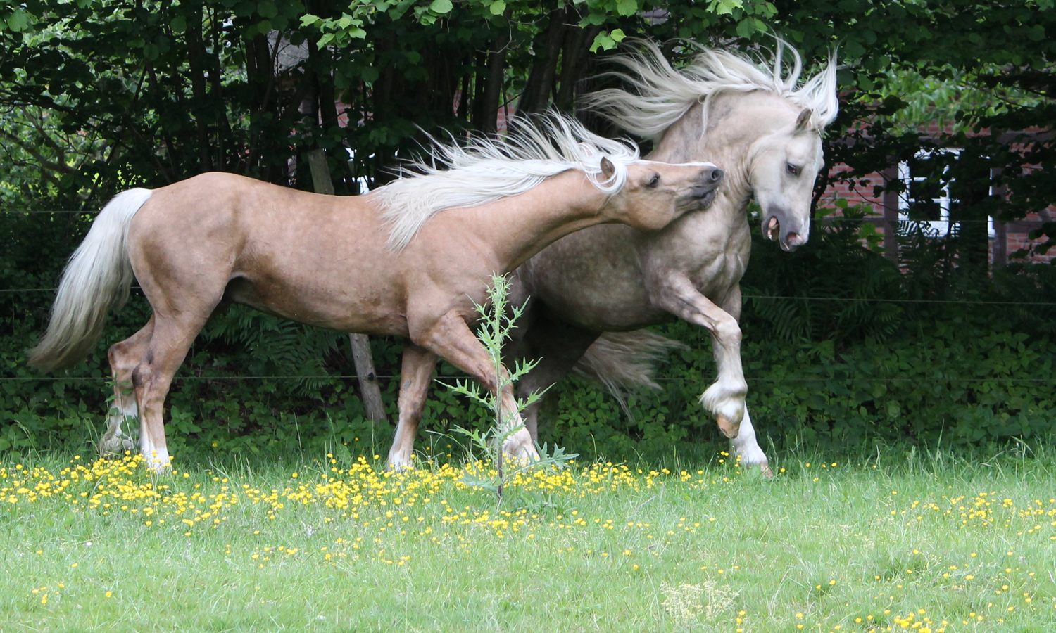 Spielen