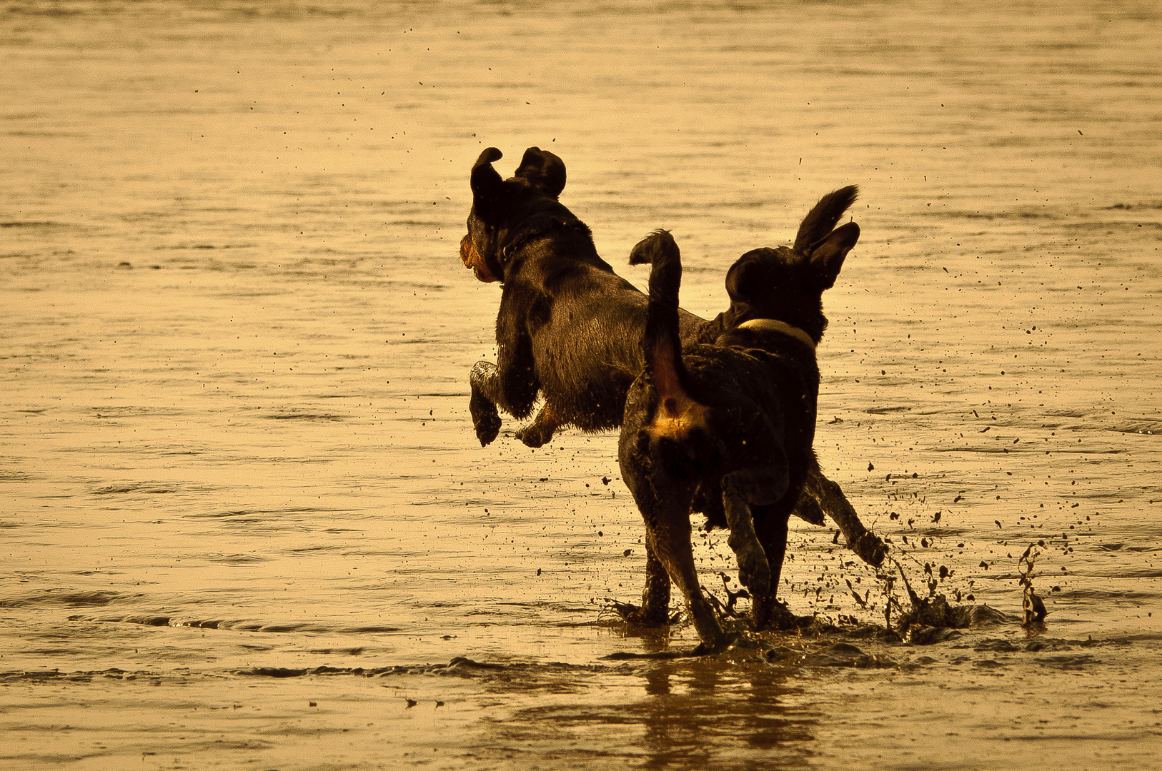 Spielen am Strand