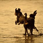 Spielen am Strand