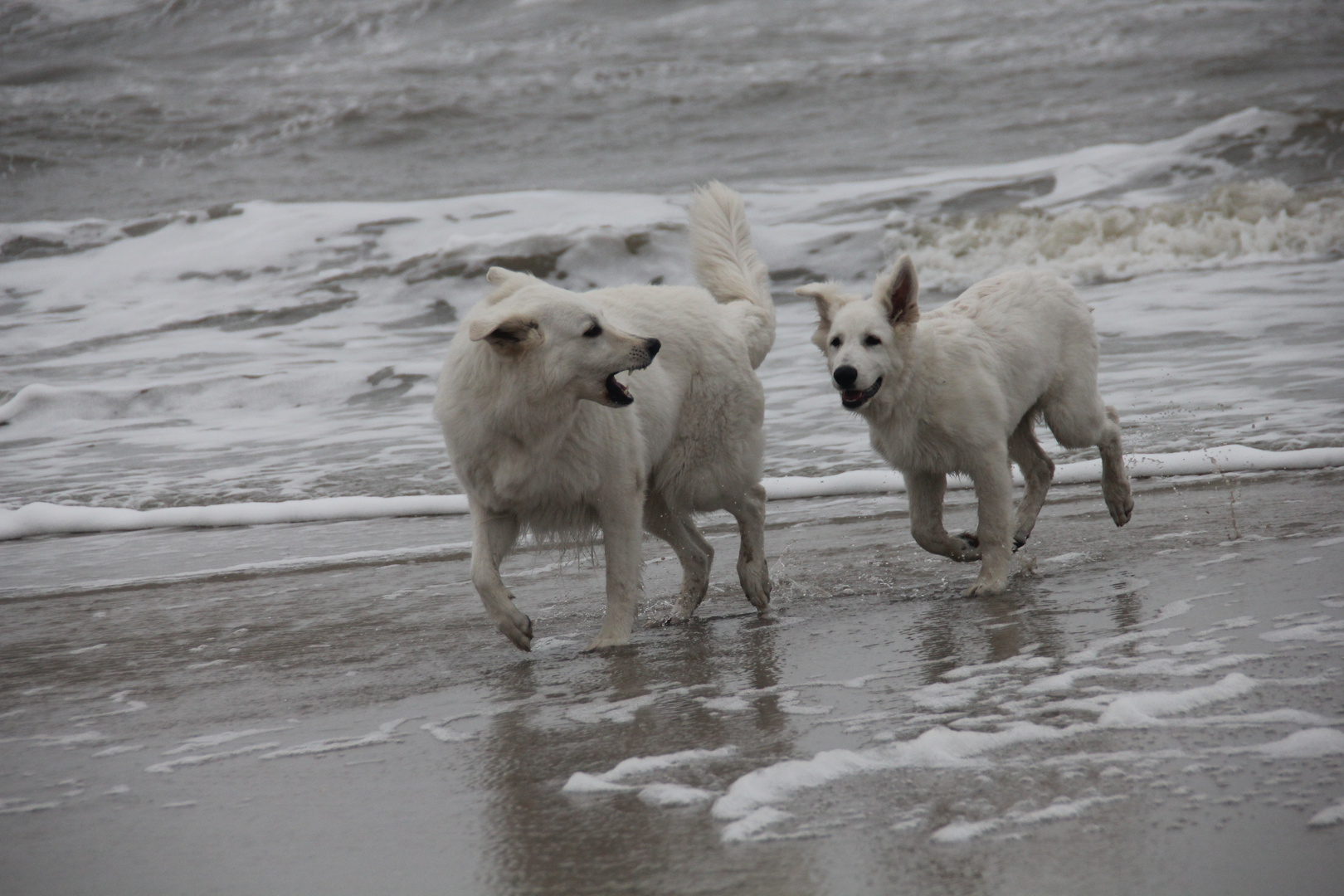 Spielen am Strand