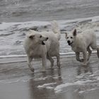 Spielen am Strand