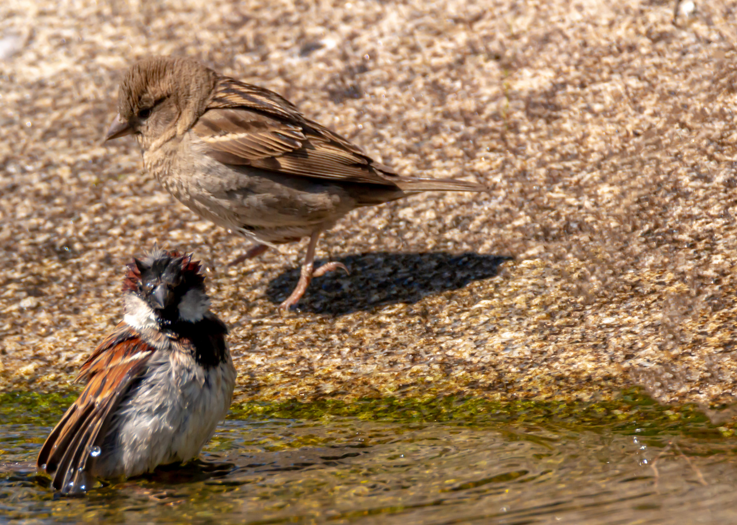 spielen am Wasser