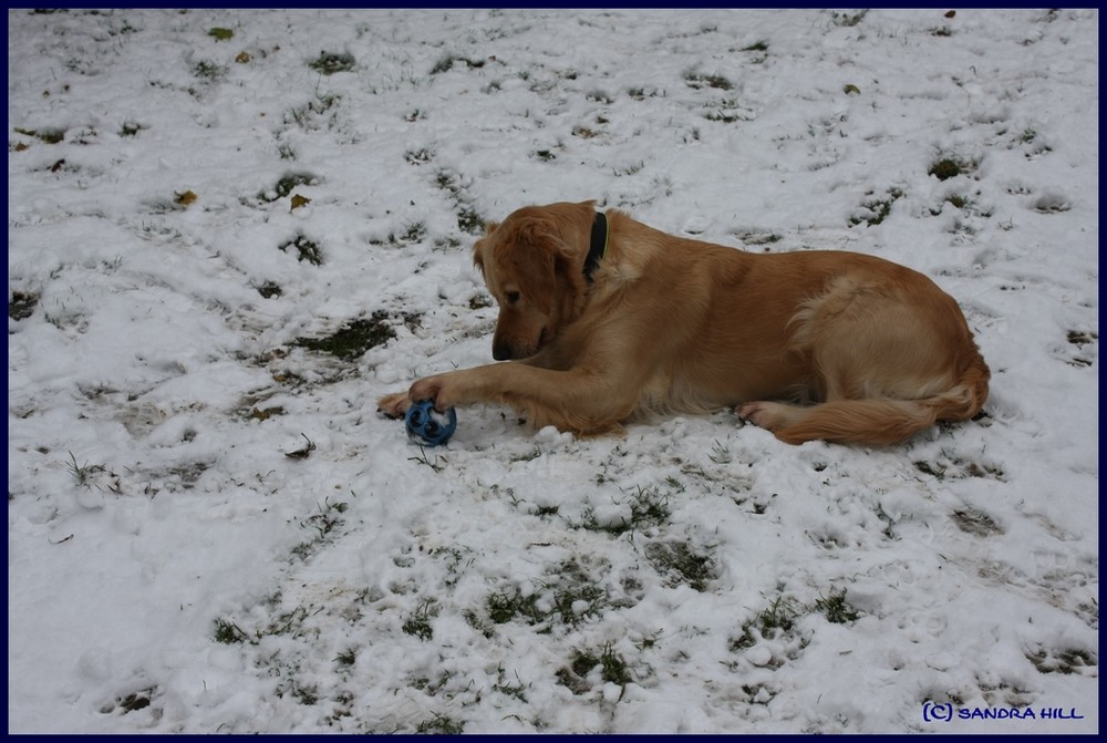 *Spielen im Schnee*