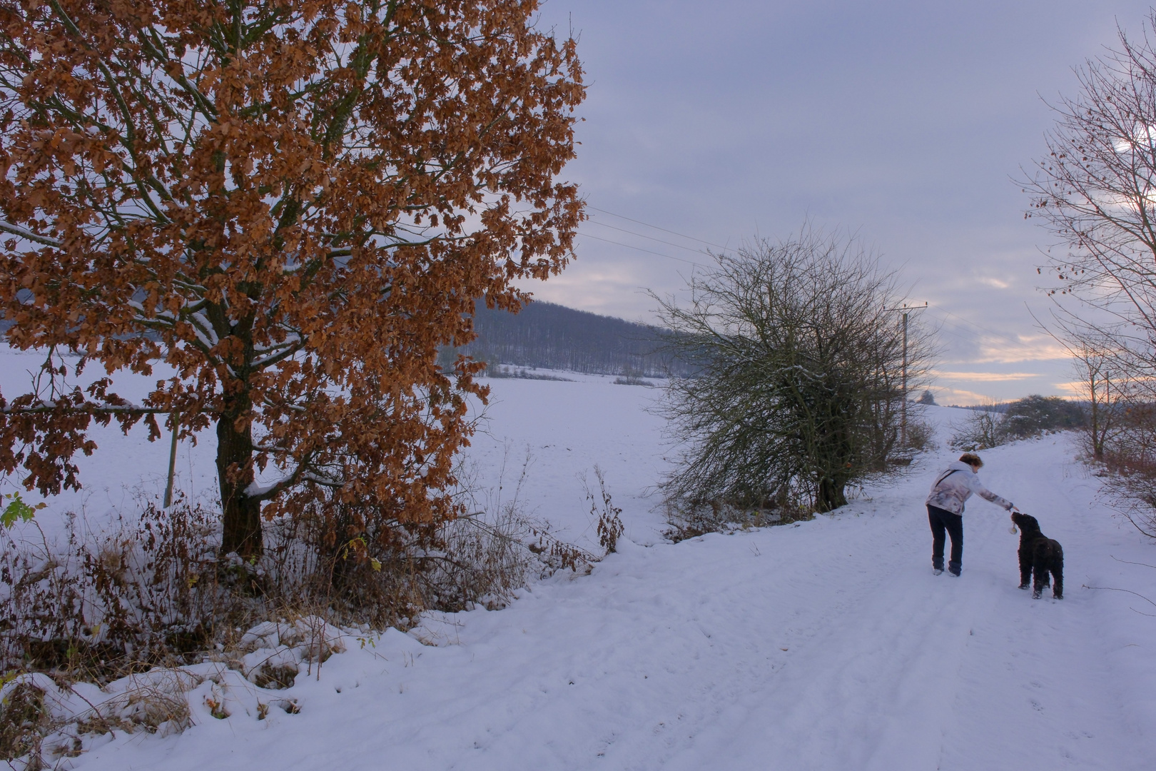 Spielen im Schnee