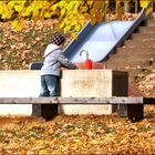 Spielen im Stadtpark