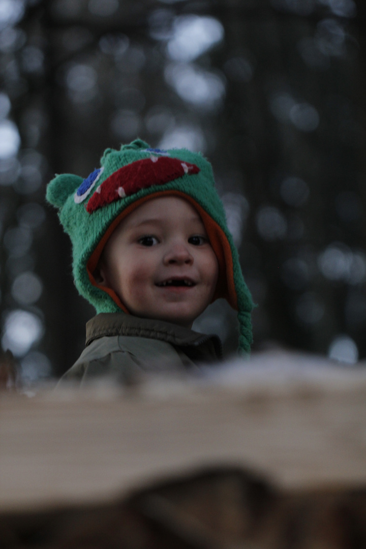 spielen im Wald