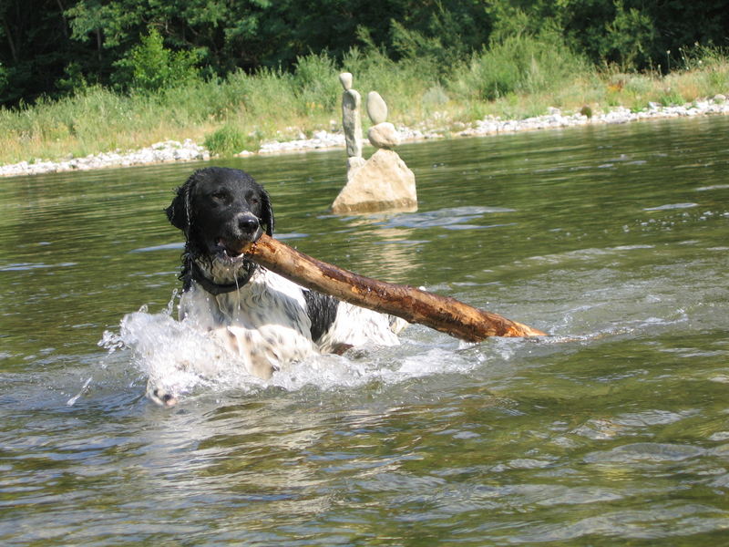 Spielen im wasser