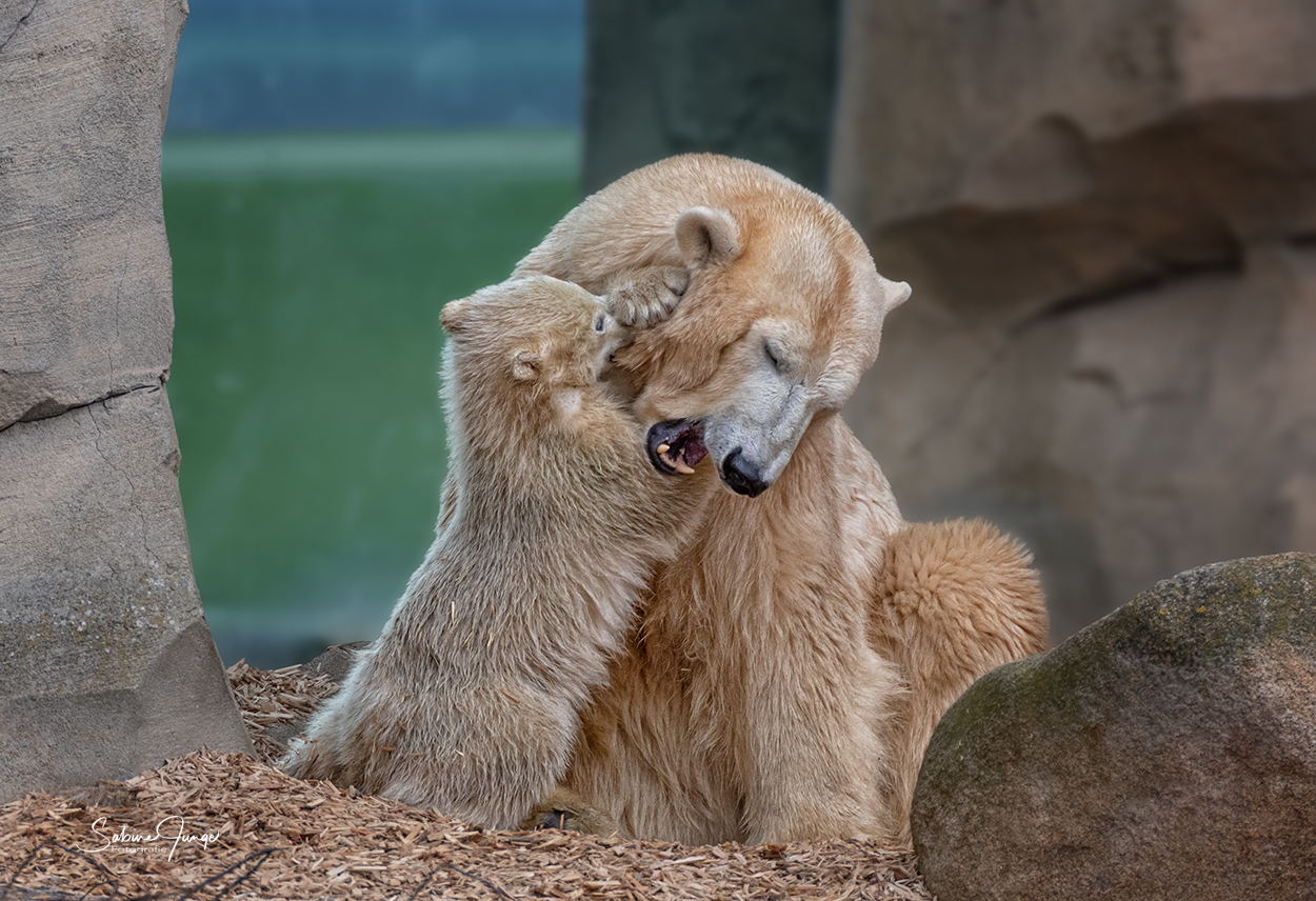 Spielen und Schmusen mit Mama