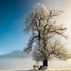 Spielend wachsen bis wir den Himmel in uns spüren