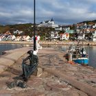 Spielende Katzen in Mölle