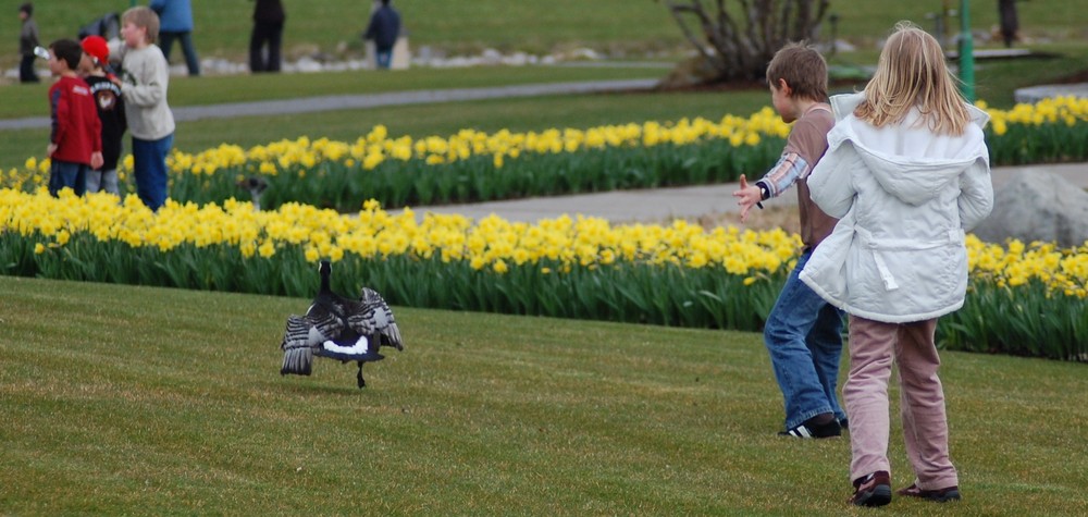 spielende Kinder