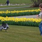 spielende Kinder