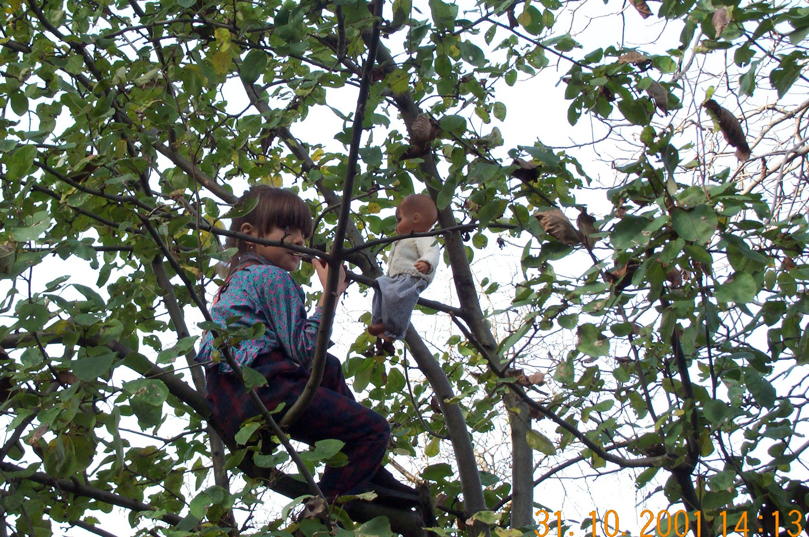 spielendes,singendes Kind im Baum