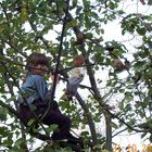 spielendes,singendes Kind im Baum