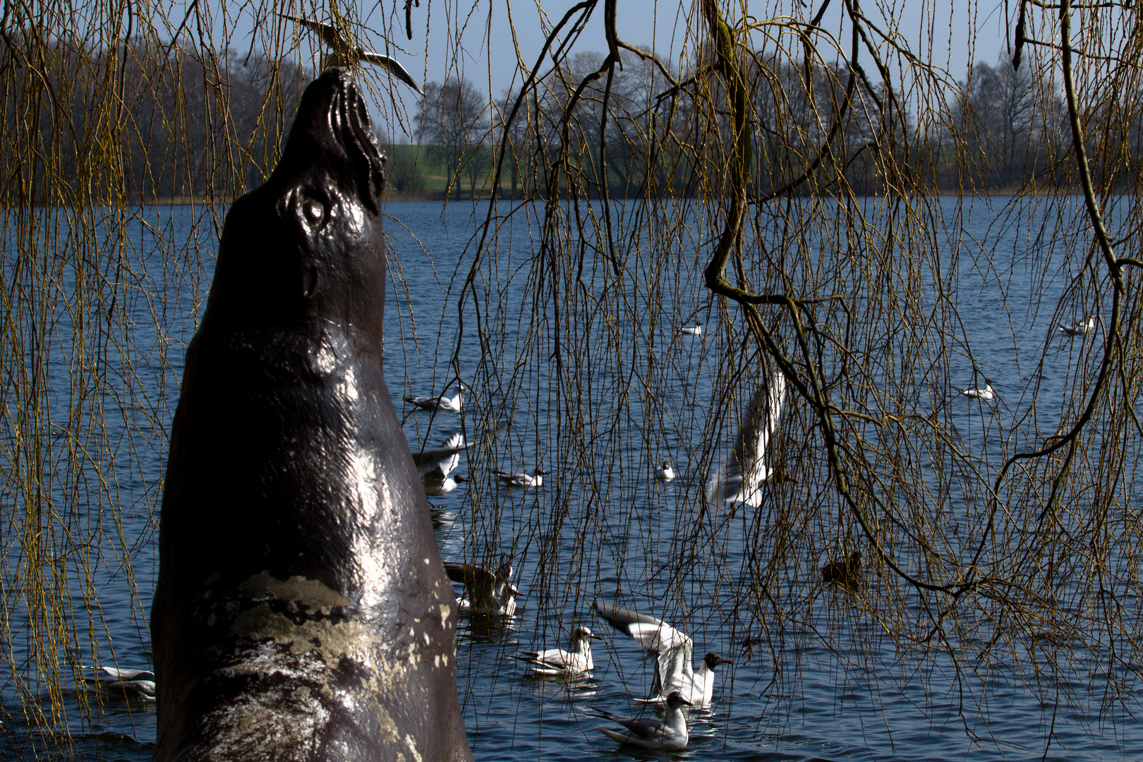 Spielerei an der Müritz