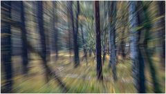 Spielerei im Wald