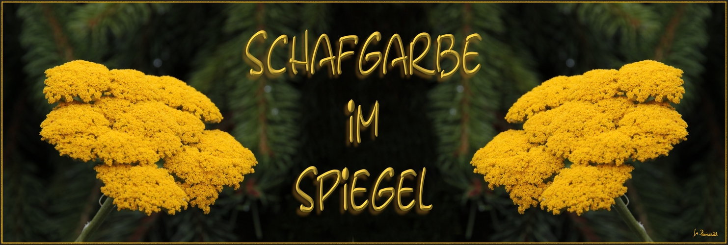 Spielerei mit Spiegelung