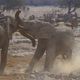 Etosha NP