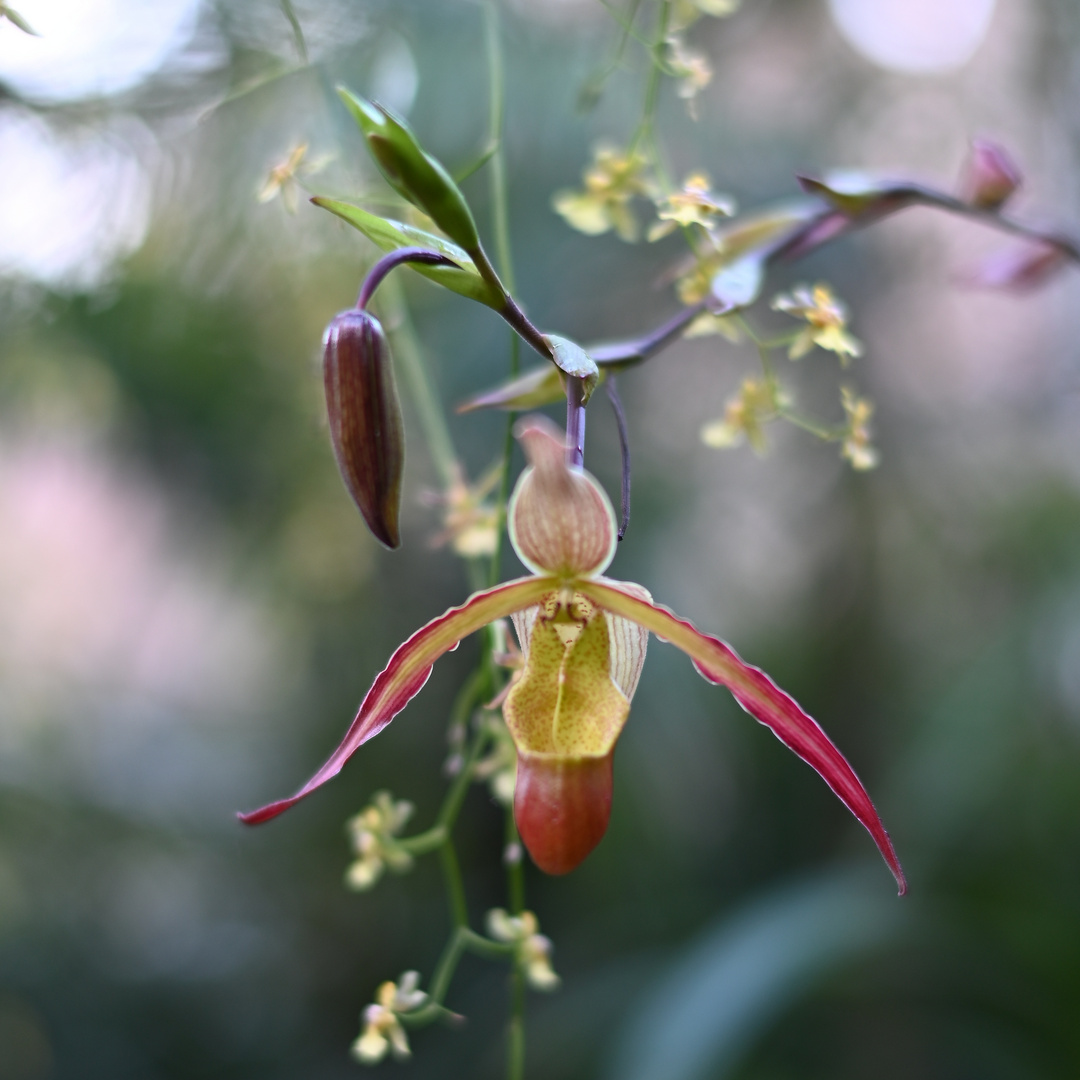 Spielereien im Berggarten