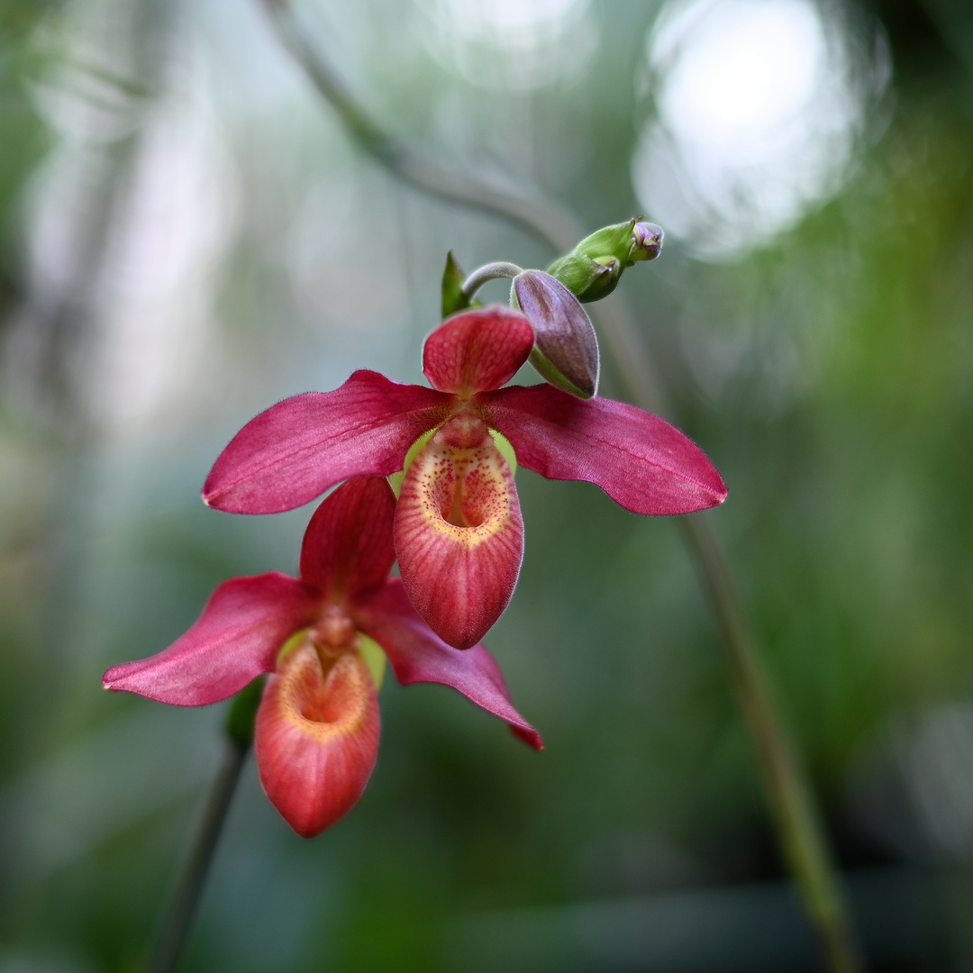 Spielereien im Berggarten