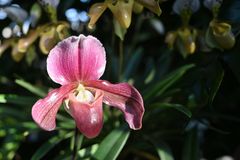 Spielereien im Berggarten