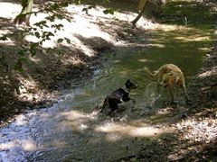 spielerische Bewegung 2...