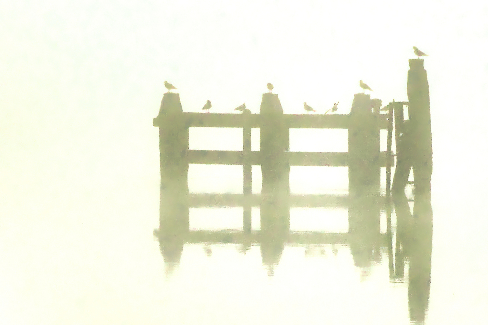 Spielgelung mit Nebel