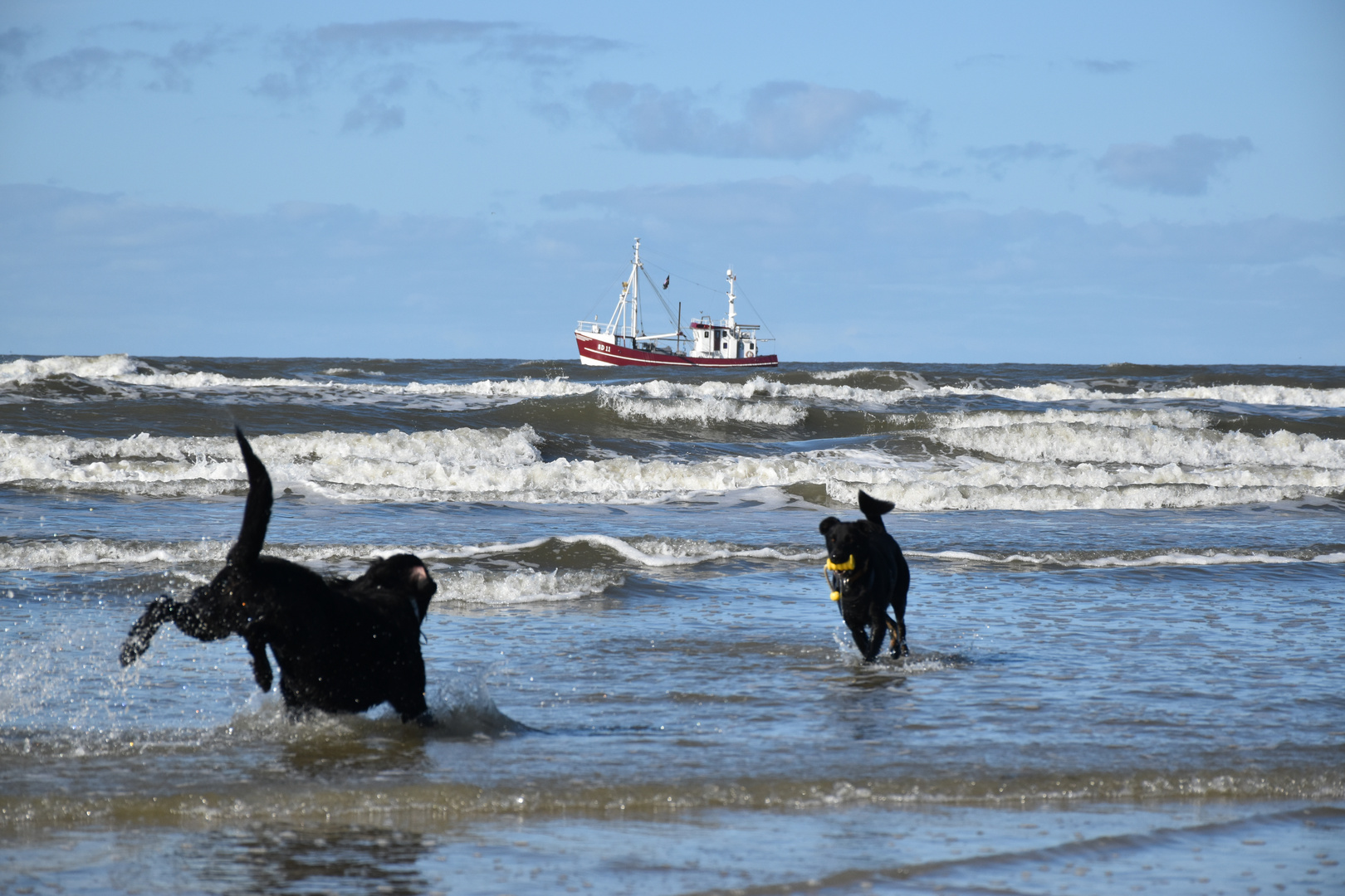 Spielkamerad für den Strand von SPO?