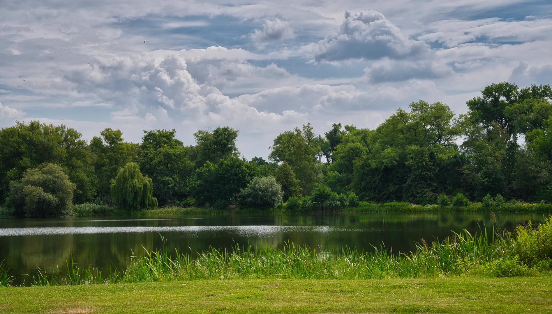 Spielmannsteich im Richmond Park an einem Sommertag