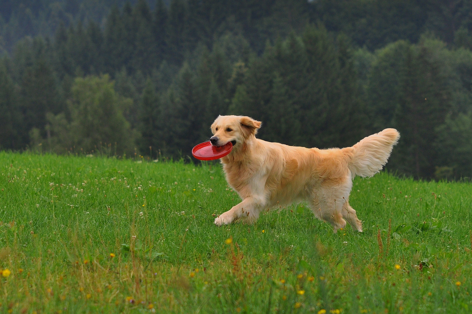 Spielmodus eingeschaltet