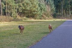 Spielpause während die Übungsstunde