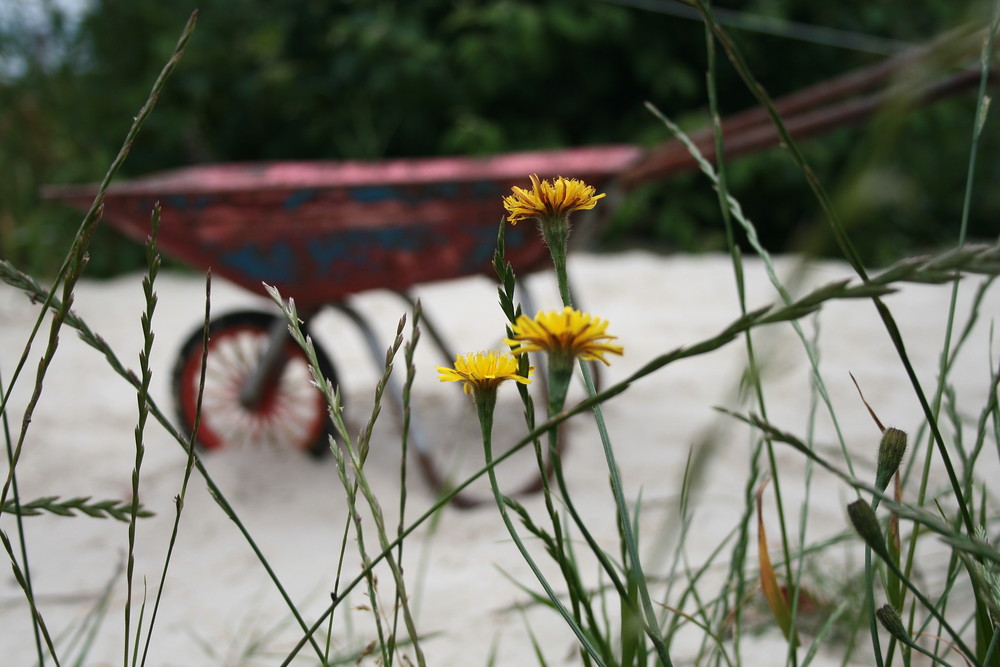 Spielplatz