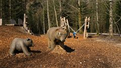 Spielplatz Eingang Tierpark Grünau