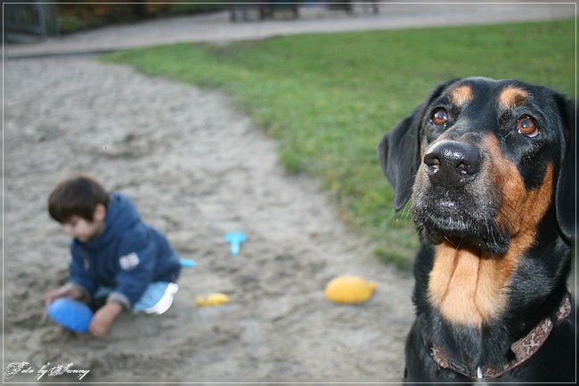 Spielplatzbewacher