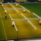 Spielrasendooping auf BVB in Dortmund.